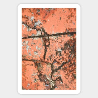 Old cracked painted texture Sticker